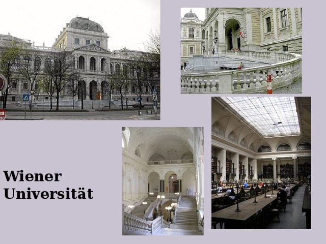 Wiener Universität