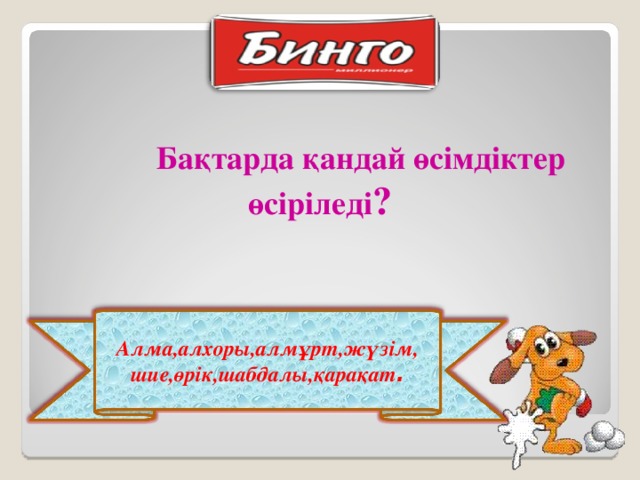 Бақтарда қандай өсімдіктер өсіріледі ?   Алма,алхоры,алмұрт,жүзім, шие,өрік,шабдалы,қарақат .