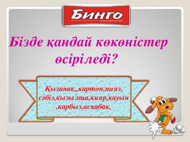 Бізде қандай көкөністер өсіріледі? Қызанақ,,картоп,пияз, сәбіз,қызылша,қияр,қауын,қарбыз,асқабақ,