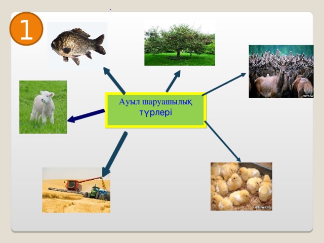 . 1 Ау ыл шаруашылы қ түрлері