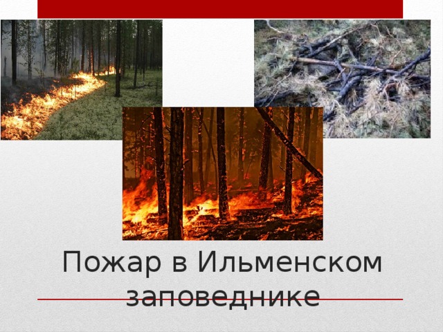 Пожар в Ильменском заповеднике