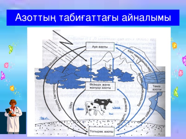 Азоттың табиғаттағы айналымы