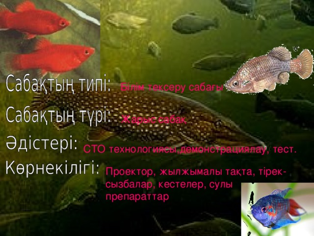 Білім тексеру сабағы Жарыс сабақ СТО технологиясы,демонстрациялау, тест. Проектор, жылжымалы тақта, тірек-сызбалар, кестелер, сулы препараттар