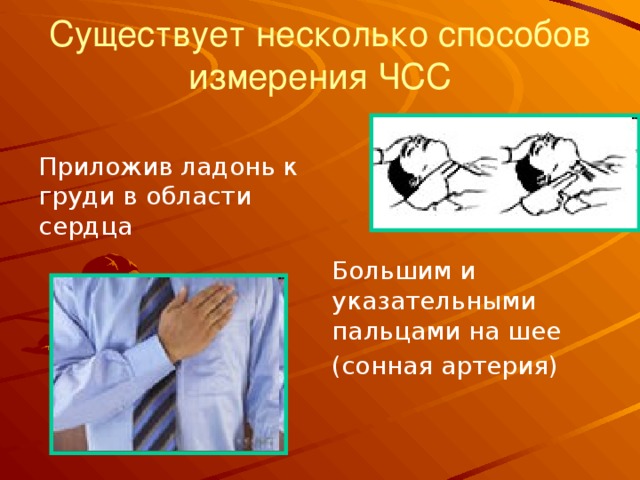 Существует несколько способов измерения ЧСС Приложив ладонь к груди в области сердца Большим и указательными пальцами на шее (сонная артерия)