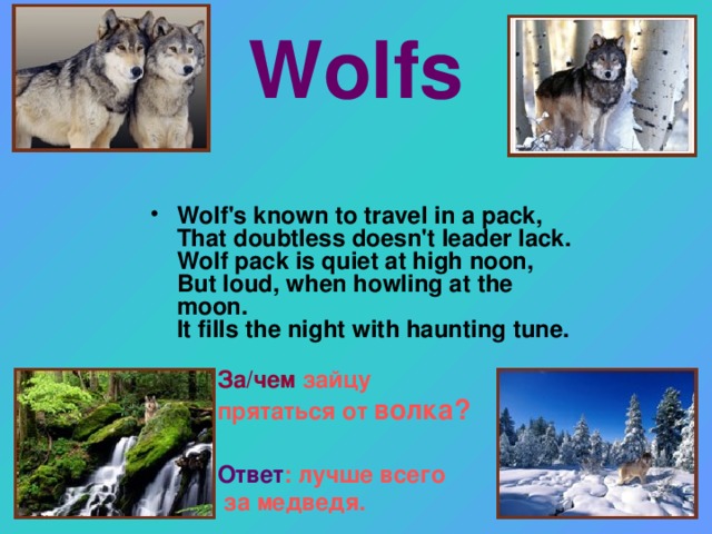 Wolfs Wolf's known to travel in a pack,  That doubtless doesn't leader lack.  Wolf pack is quiet at high noon,  But loud, when howling at the moon.  It fills the night with haunting tune.  За/чем зайцу прятаться от волка?  Ответ : лучше всего  за медведя.