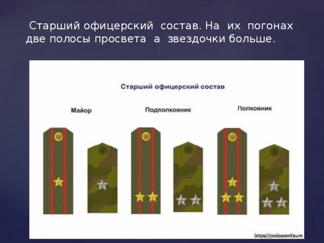 Старший офицерский состав. На их погонах две полосы просвета а звездочки больше.