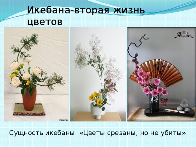 Икебана-вторая жизнь цветов Сущность икебаны: «Цветы срезаны, но не убиты»