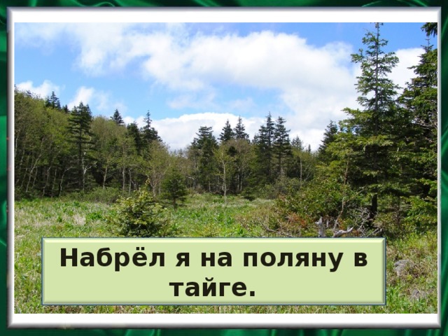 Набрёл я на поляну в тайге.