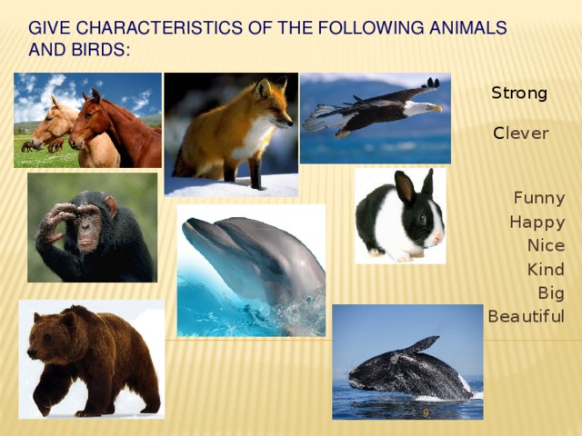 Give characteristics of the following animals and birds:     Strong C lever Funny Happy Nice Kind Big Beautiful