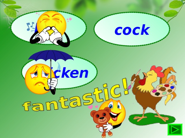 hen cock chicken
