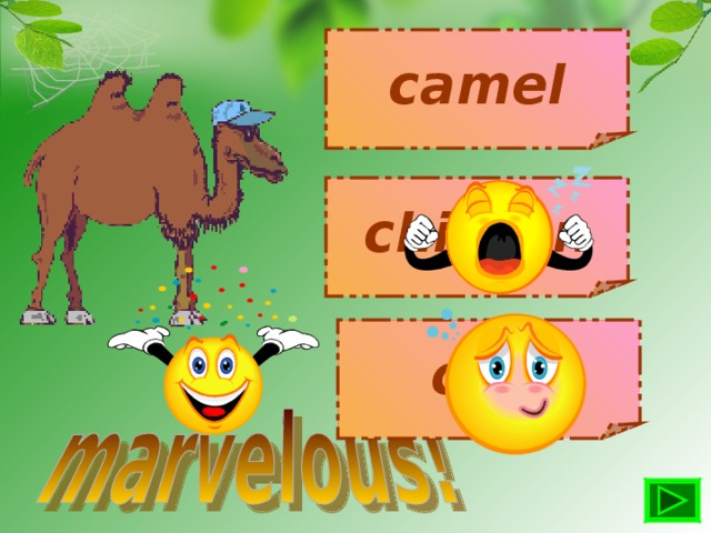 camel chicken cow