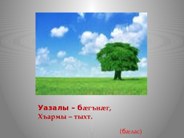 Уазалы – б æгънæг,  Хъармы – тыхт.  (б æлас)