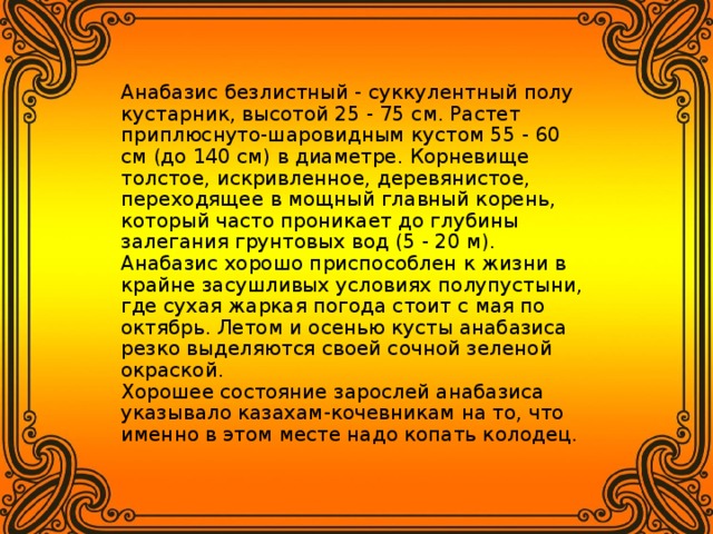 Анабазис безлистный - суккулентный полу­кустарник, высотой 25 - 75 см. Растет приплюснуто-шаровидным кустом 55 - 60 см (до 140 см) в диаметре. Корневище толстое, искривленное, деревянистое, переходящее в мощный главный корень, который часто проникает до глубины залегания грунтовых вод (5 - 20 м).   Анабазис хорошо приспособлен к жизни в крайне засушливых условиях полупустыни, где сухая жаркая погода стоит с мая по октябрь. Летом и осенью кусты анабазиса резко выделяются своей сочной зеленой окраской.  Хорошее состояние зарослей анабазиса указывало казахам-кочевникам на то, что именно в этом месте надо копать колодец.