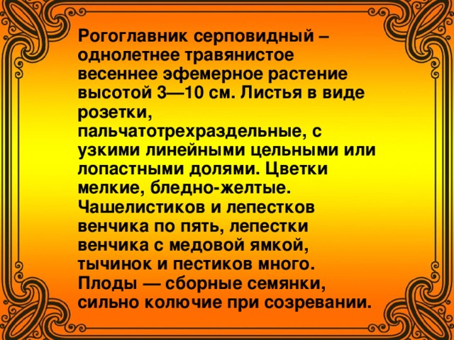 Рогоглавник серповидный – однолетнее травянистое весеннее эфемерное растение высотой 3—10 см. Листья в виде розетки, пальчатотрехраздельные, с узкими линейными цельными или лопастными долями. Цветки мелкие, бледно-желтые. Чашелистиков и лепестков венчика по пять, лепестки венчика с медовой ямкой, тычинок и пестиков много. Плоды — сборные семянки, сильно колючие при созревании.