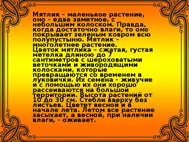 Мятлик – маленькое растение, оно – едва заметное, с небольшим колоском. Правда, когда достаточно влаги, то оно покрывает зеленым ковром всю полупустыню. Мятлик – многолетнее растение.  Цветок мятлика – сжатая, густая метелка длиною до 7 сантиметров с шероховатыми веточками и живородящими колосками, которые превращаются со временем в луковички. Их семена – живучие и с помощью их они хорошо рассеиваются на большой территории. Высота растений от 10 до 30 см. Стебли вверху без листьев. Цветет весной и в начале лета. Летом все растение засыхает, а весной, при наличии влаги, - оживает.