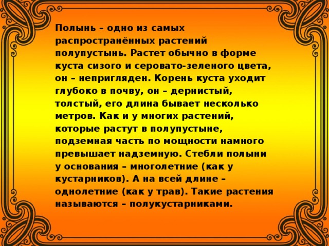 Полынь – одно из самых распространённых растений полупустынь. Растет обычно в форме куста сизого и серовато-зеленого цвета, он – непригляден. Корень куста уходит глубоко в почву, он – дернистый, толстый, его длина бывает несколько метров. Как и у многих растений, которые растут в полупустыне, подземная часть по мощности намного превышает надземную. Стебли полыни у основания – многолетние (как у кустарников). А на всей длине – однолетние (как у трав). Такие растения называются – полукустарниками.