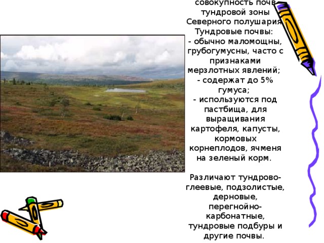 Тундровые почвы - совокупность почв тундровой зоны Северного полушария. Тундровые почвы:  - обычно маломощны, грубогумусны, часто с признаками мерзлотных явлений;  - содержат до 5% гумуса;  - используются под пастбища, для выращивания картофеля, капусты, кормовых корнеплодов, ячменя на зеленый корм. Различают тундрово-глеевые, подзолистые, дерновые, перегнойно-карбонатные, тундровые подбуры и другие почвы.