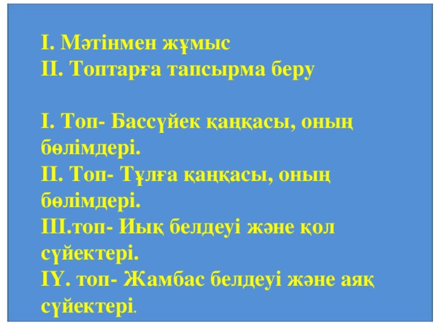 І. Мәтінмен жұмыс ІІ. Топтарға тапсырма беру  І. Топ- Бассүйек қаңқасы, оның бөлімдері. ІІ. Топ- Тұлға қаңқасы, оның бөлімдері. ІІІ.топ- Иық белдеуі және қол сүйектері. І Y . топ- Жамбас белдеуі және аяқ сүйектері .