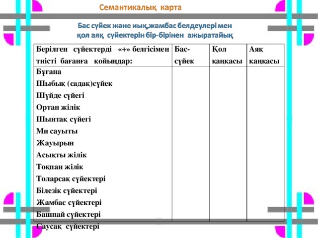 Берілген сүйектерді «+» белгісімен тиісті бағанға қойыңдар: Бас-сүйек Бұғана Шыбық (садақ)сүйек Шүйде сүйегі Ортан жілік Шынтақ сүйегі Ми сауыты Жауырын Асықты жілік Тоқпан жілік Толарсақ сүйектері Білезік сүйектері Жамбас сүйектері Башпай сүйектері Саусақ сүйектері Қол қаңқасы Аяқ қаңқасы