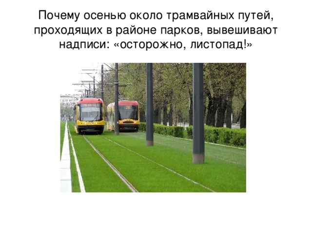 Почему осенью около трамвайных путей, проходящих в районе парков, вывешивают надписи: «осторожно, листопад!»
