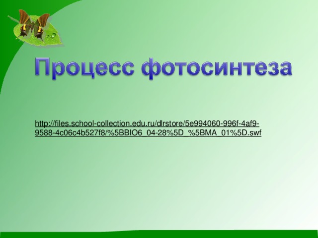 http://files.school-collection.edu.ru/dlrstore/5e994060-996f-4af9- 9588-4c06c4b527f8/%5BBIO6_04-28%5D_%5BMA_01%5D.swf