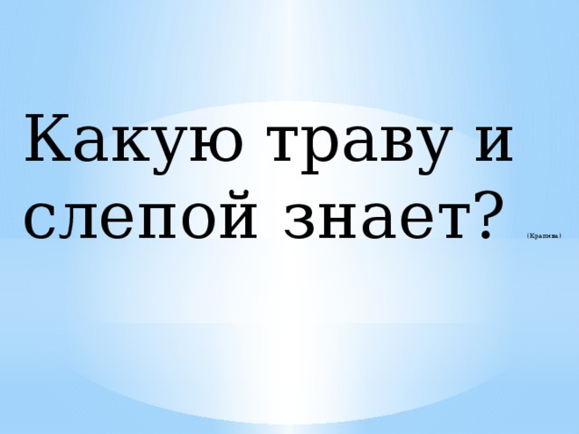 Какую траву и слепой знает? (Крапива)