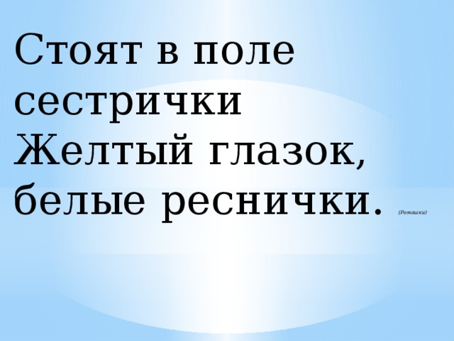 Стоят в поле сестрички Желтый глазок, белые реснички.  (Ромашки)