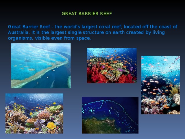 GREAT BARRIER REEF Great Barrier Reef - the world's largest coral reef, located off the coast of Australia. It is the largest single structure on earth created by living organisms, visible even from space .