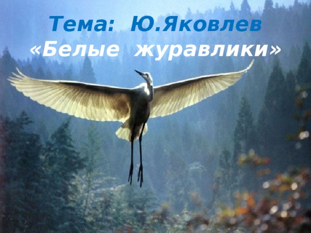 Тема: Ю.Яковлев «Белые журавлики»