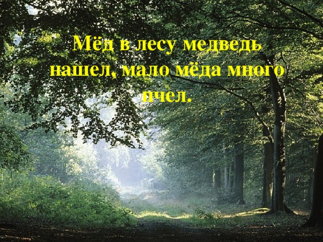 Мёд в лесу медведь нашел, мало мёда много пчел.