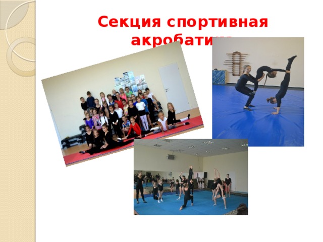 Секция спортивная акробатика