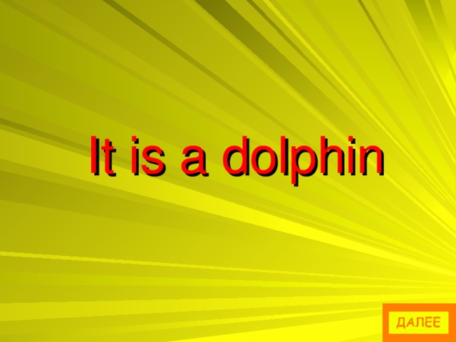 It is a dolphin