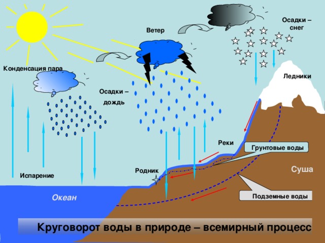 Осадки – снег Ветер                     Конденсация пара   Ледники            Осадки – дождь                                                                           Реки  Грунтовые воды  Суша   Родник Испарение   Подземные воды Океан    Круговорот воды в природе – всемирный процесс