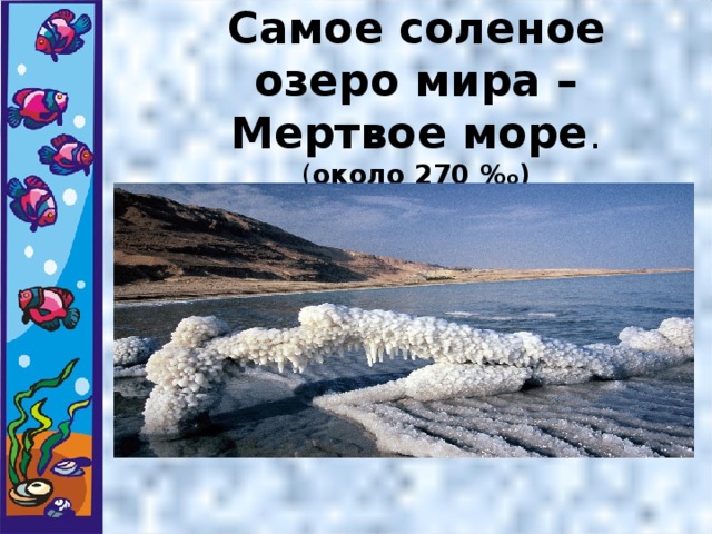Самое соленое озеро мира – Мертвое море .  ( около 270 % о )