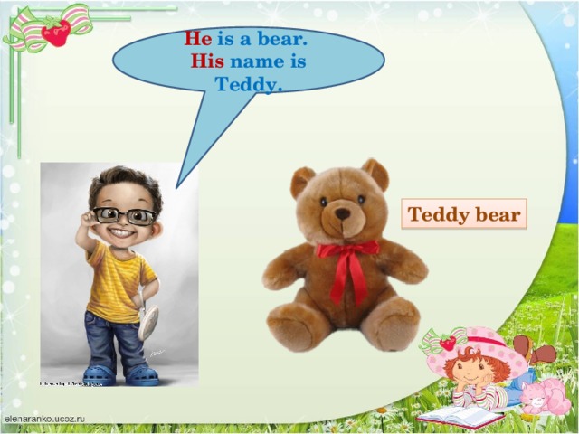 He is a bear. His name is Teddy. Teddy bear