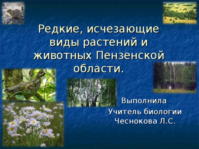 Редкие, исчезающие виды растений и животных Пензенской области. Выполнила Учитель биологии Чеснокова Л.С.