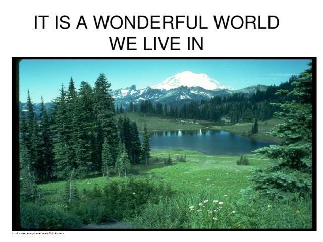 IT IS A WONDERFUL WORLD WE LIVE IN