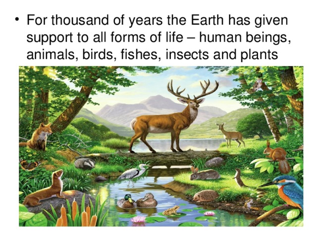 For thousand of years the Earth has given support to all forms of life – human beings, animals, birds, fishes, insects and plants