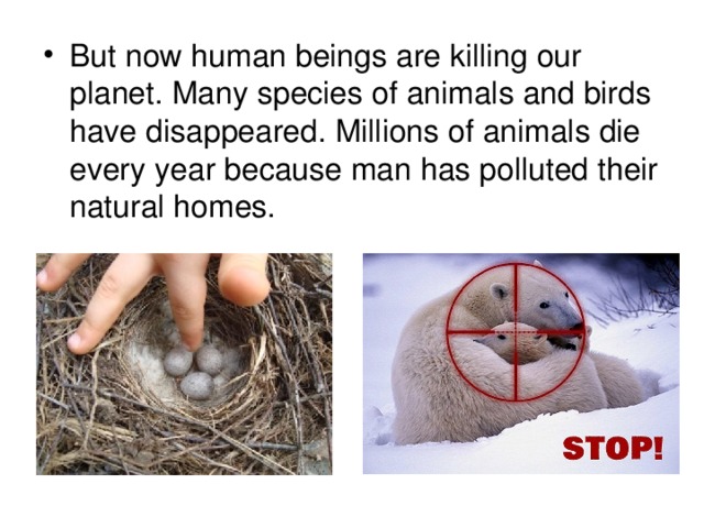 But now human beings are killing our planet. Many species of animals and birds have disappeared. Millions of animals die every year because man has polluted their natural homes.