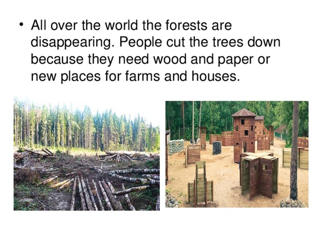 All over the world the forests are disappearing. People cut the trees down because they need wood and paper or new places for farms and houses.