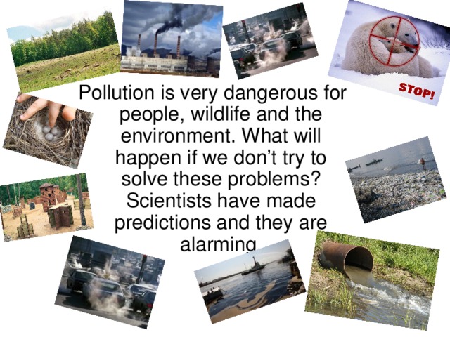 Pollution is very dangerous for people, wildlife and the environment. What will happen if we don’t try to solve these problems? Scientists have made predictions and they are alarming.