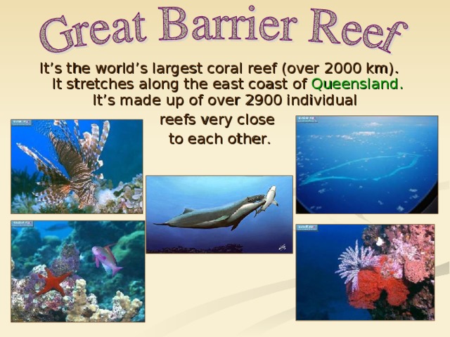 It’s the world’s largest coral reef (over 2000 km). It stretches along the east coast of Queensland. It’s made up of over 2900 individual reefs very close to each other .