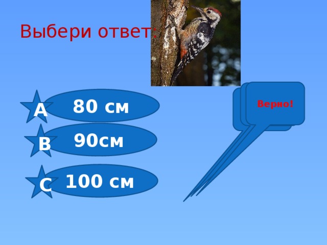 Выбери ответ: Верно! Неверно! Неверно! 80 см А 90см В 100 см С