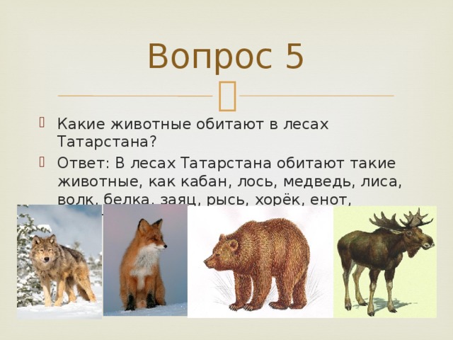 Вопрос 5