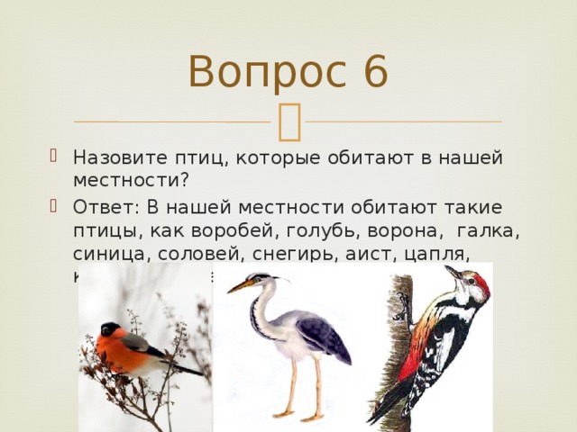 Вопрос 6