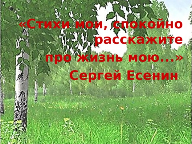 «Стихи мои, спокойно расскажите про жизнь мою...» Сергей Есенин