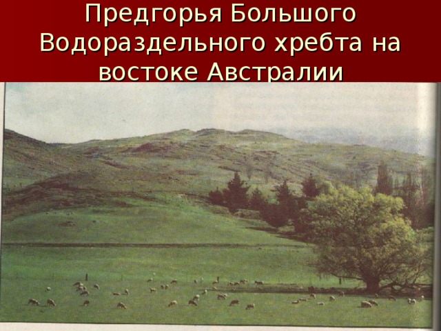 Предгорья Большого Водораздельного хребта на востоке Австралии