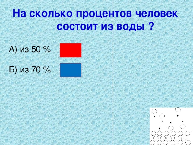 На сколько процентов человек состоит из воды ?  А) из 50 % Б) из 70 %