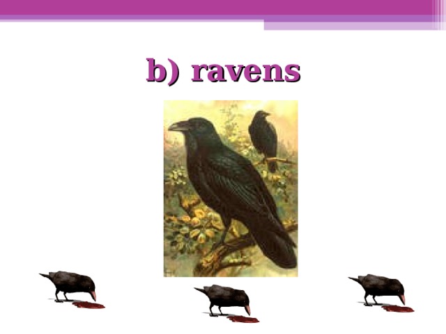 b) ravens