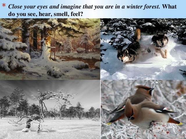 Close your eyes and imagine that you are in a winter forest. What do you see, hear, smell, feel?